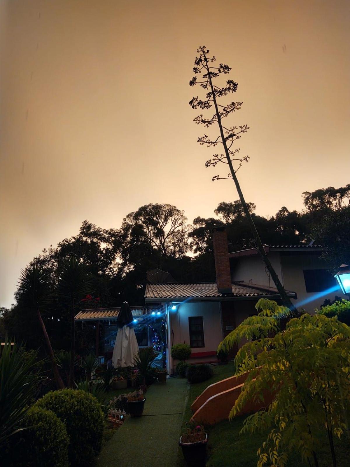 Hotel Rancho Da Raposa Campos do Jordão Zewnętrze zdjęcie