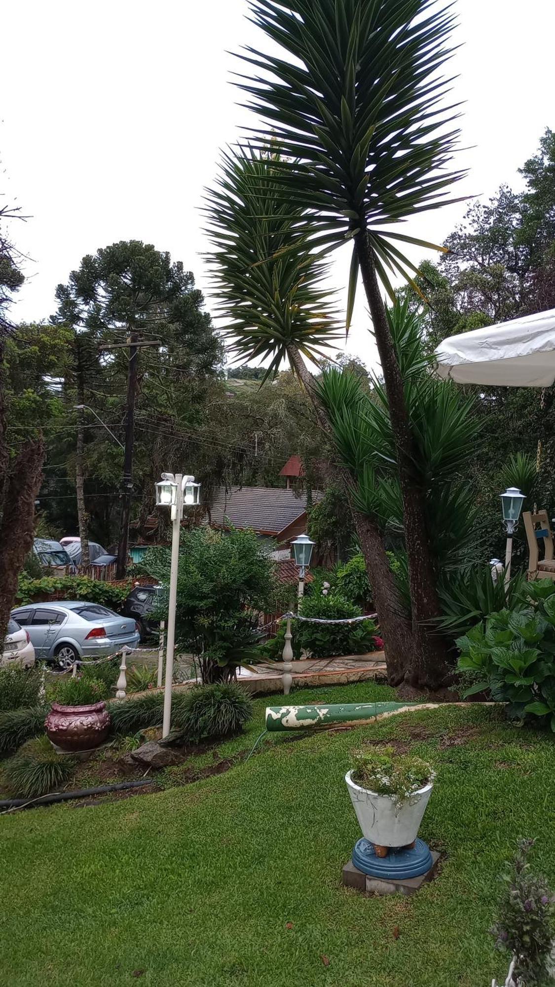 Hotel Rancho Da Raposa Campos do Jordão Zewnętrze zdjęcie